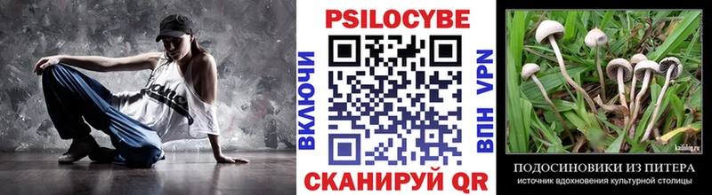 Псилоцибиновые грибы MAGIC MUSHROOMS  сколько стоит  KRAKEN ССЫЛКА  Городище 